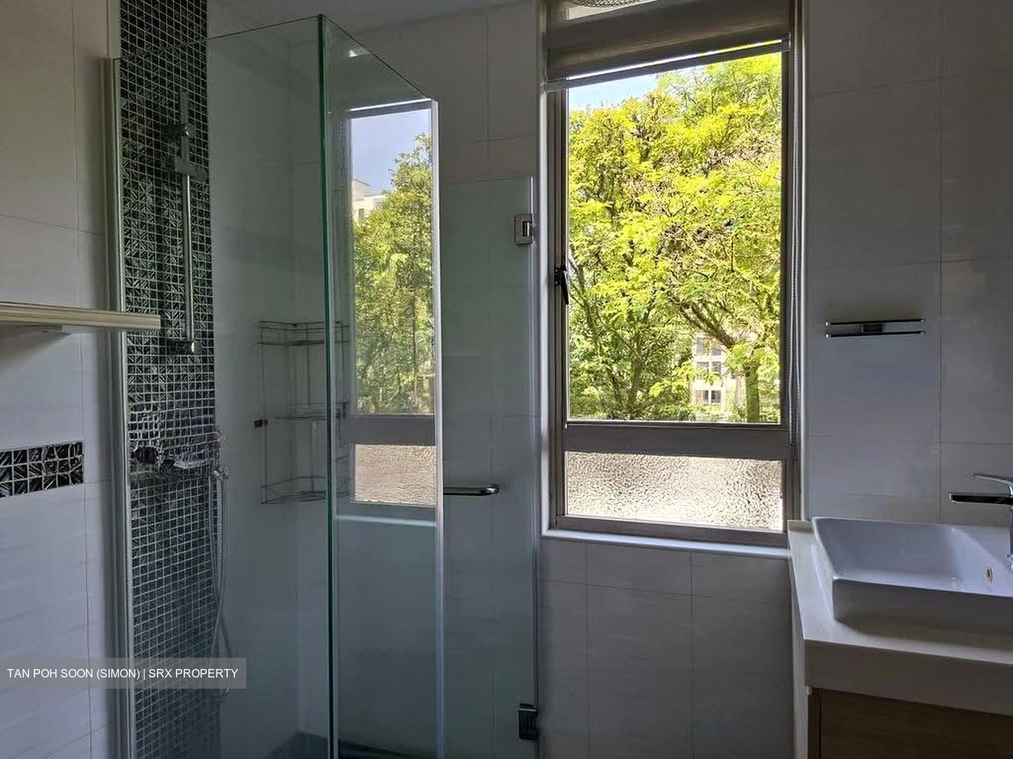 The Blossomvale (D21), Condominium #606335461